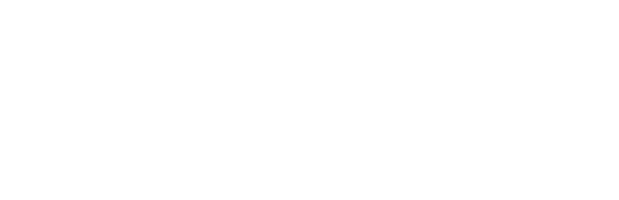 Videntia logo geheel wit